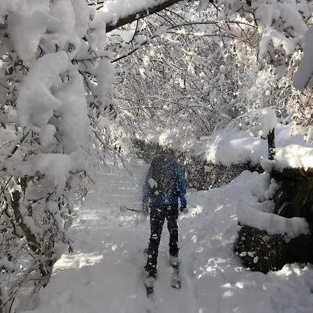 Bellavista Giulia On Apartamento Dervio